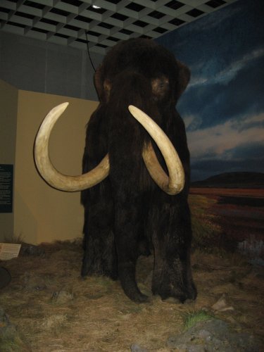 114-DPT 280.jpg.medium.jpeg