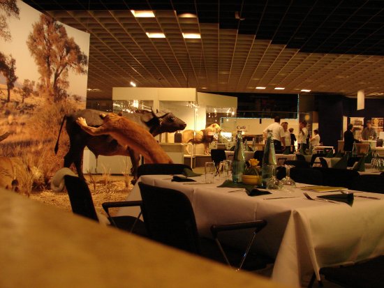 003-dpt_2008 078.jpg.medium.jpeg